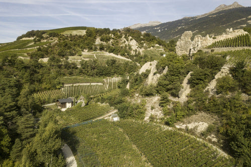 Vallon Raspille - Das Tal des exquisiten Schaumweines