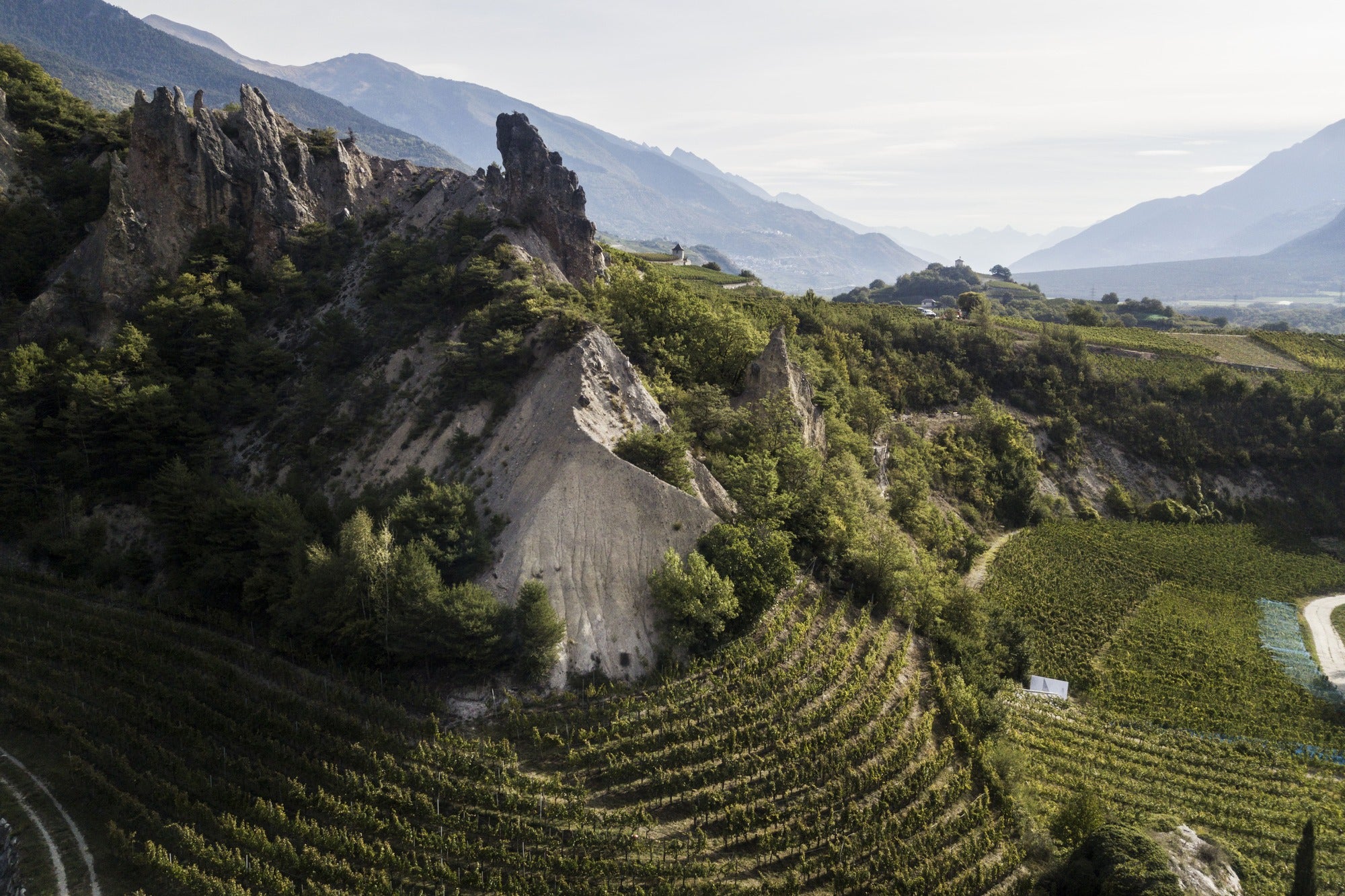 Die Pyramiden von Raspille mit Weinbergen 