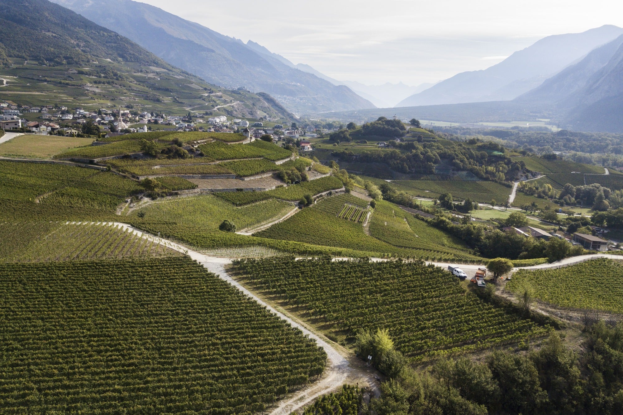 Blick über die Weinberge von Salgesch von Cave Biber