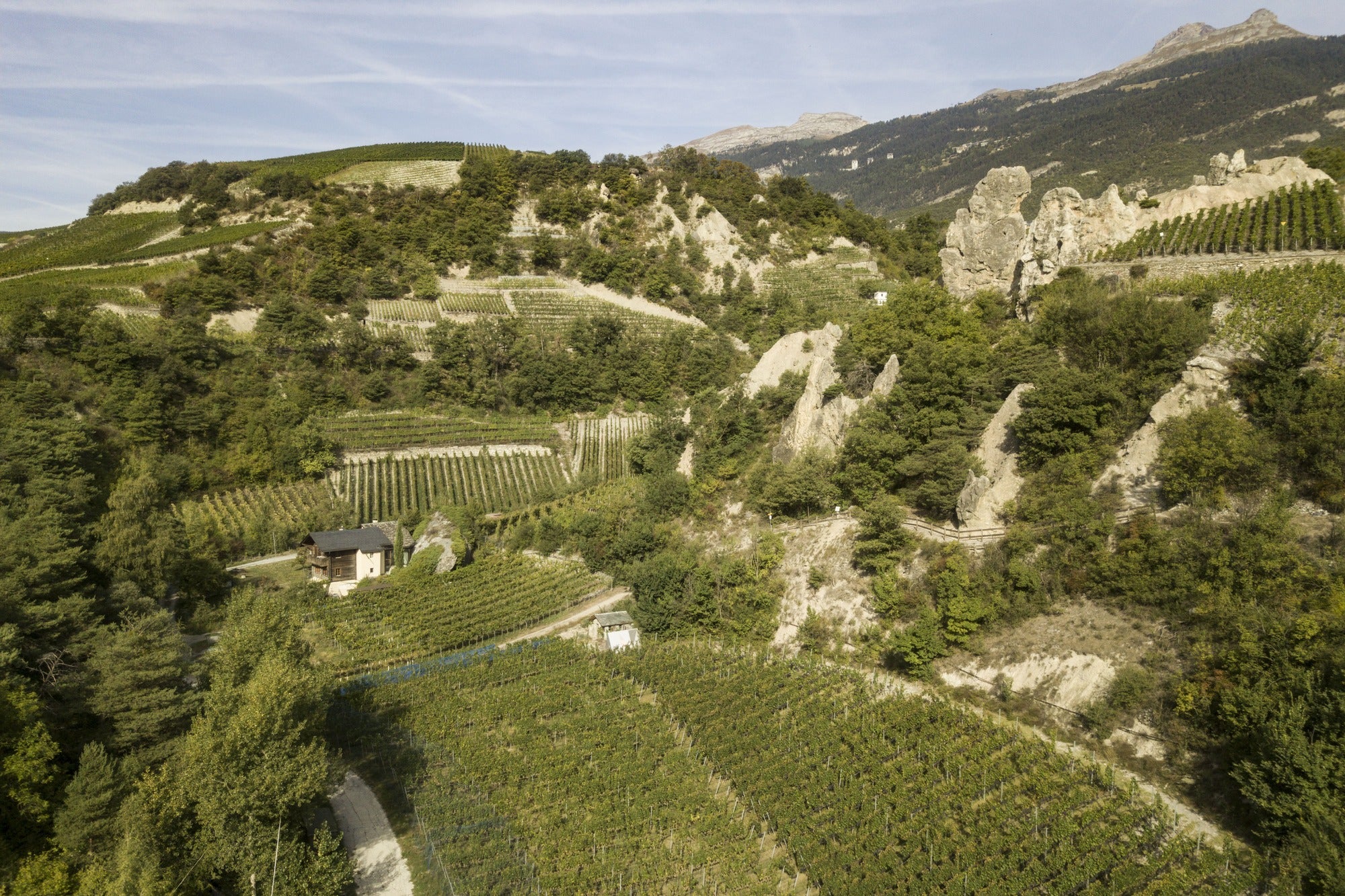 Blick über die Sprachgrenze Raspille le Vallon und seine tollen Weinberge